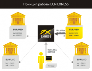 Компания EXNESS открывает регистрацию ECN-счетов - EXNESS-open-registration-ECN-accounts-300x232